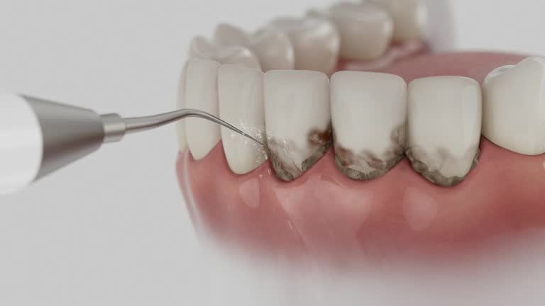 Reliable Dental contractor in Olga, FL by Dentist Open Now